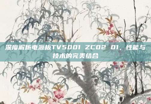 深度解析电源板TV5001 ZC02 01,性能与技术的完美结合
