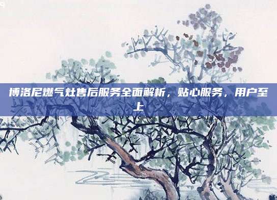 博洛尼燃气灶售后服务全面解析,贴心服务,用户至上