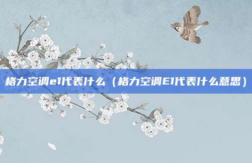 格力空调e1代表什么（格力空调E1代表什么意思）