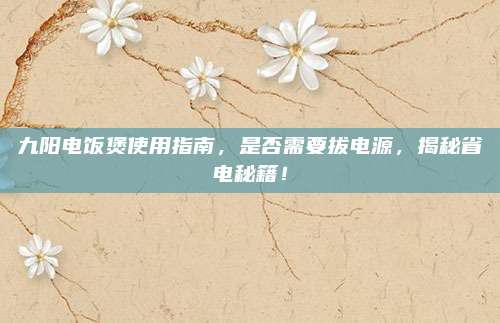 九阳电饭煲使用指南,是否需要拔电源,揭秘省电秘籍!