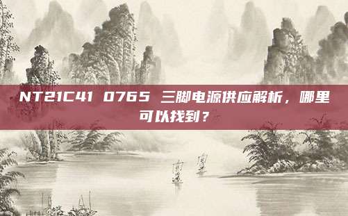 NT21C41 0765 三脚电源供应解析,哪里可以找到?