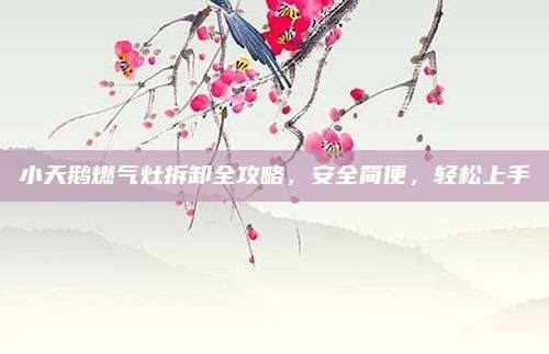 小天鹅燃气灶拆卸全攻略,安全简便,轻松上手