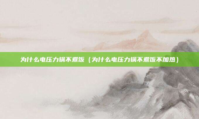 为什么电压力锅不煮饭（为什么电压力锅不煮饭不加热）
