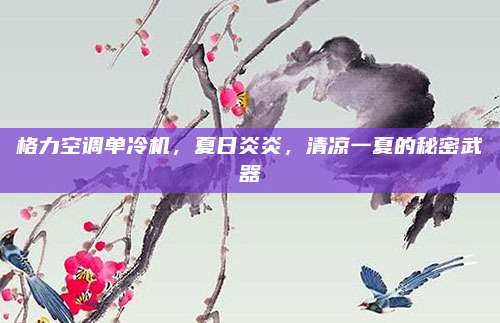 格力空调单冷机,夏日炎炎,清凉一夏的秘密武器