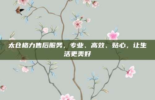 太仓格力售后服务,专业、高效、贴心,让生活更美好