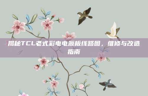 揭秘TCL老式彩电电源板线路图,维修与改造指南