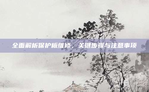 全面解析保护板维修,关键步骤与注意事项