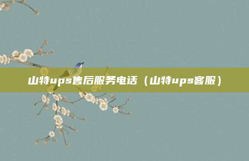 山特ups售后服务电话(山特ups客服)