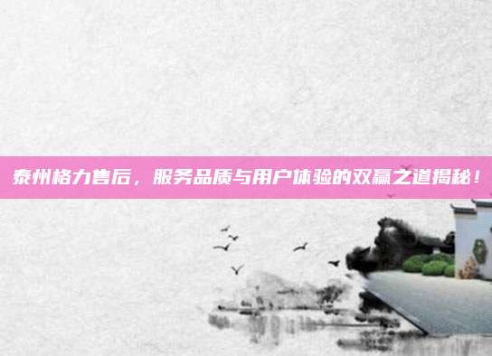 泰州格力售后,服务品质与用户体验的双赢之道揭秘!