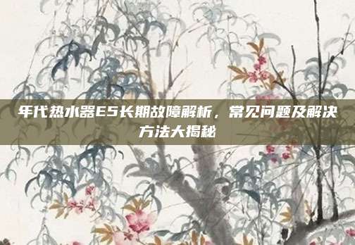 年代热水器E5长期故障解析,常见问题及解决方法大揭秘