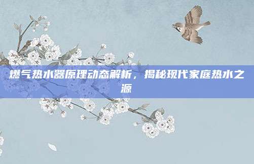 燃气热水器原理动态解析,揭秘现代家庭热水之源