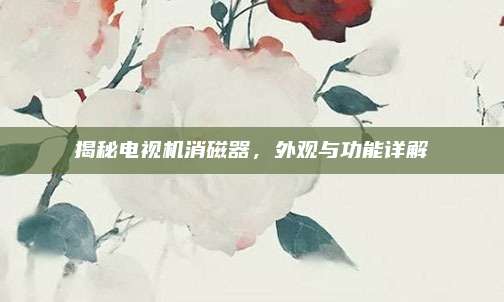揭秘电视机消磁器,外观与功能详解