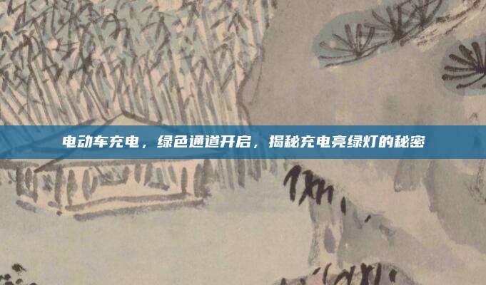 电动车充电,绿色通道开启,揭秘充电亮绿灯的秘密