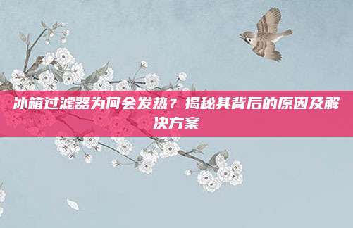 冰箱过滤器为何会发热?揭秘其背后的原因及解决方案