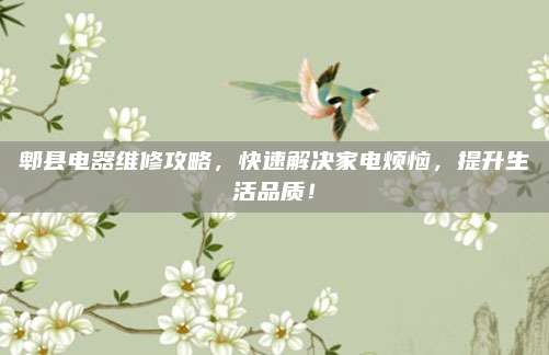 郫县电器维修攻略,快速解决家电烦恼,提升生活品质!