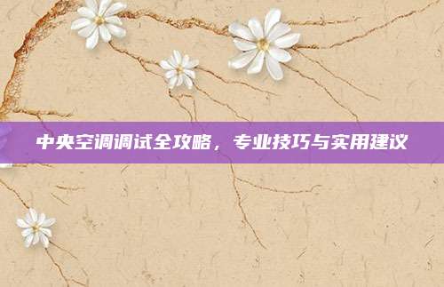 中央空调调试全攻略,专业技巧与实用建议