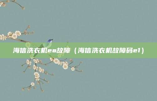 海信洗衣机ea故障(海信洗衣机故障码e1)