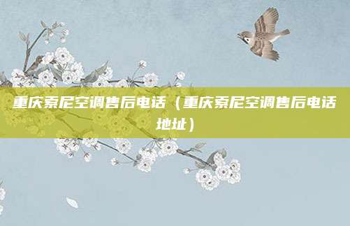 重庆索尼空调售后电话(重庆索尼空调售后电话地址)