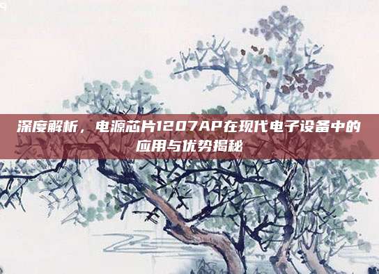 深度解析，电源芯片1207AP在现代电子设备中的应用与优势揭秘
