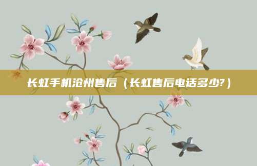 长虹手机沧州售后（长虹售后电话多少?）