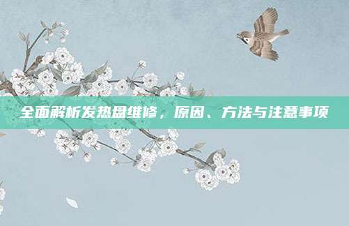 全面解析发热盘维修,原因、方法与注意事项