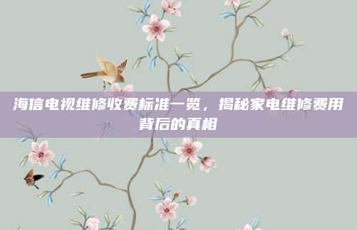 海信电视维修收费标准一览，揭秘家电维修费用背后的真相