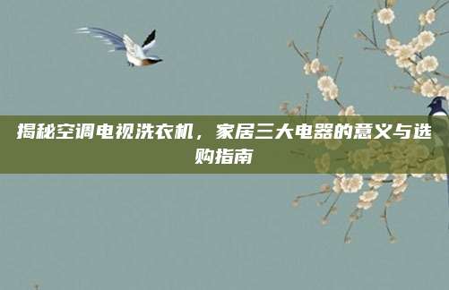 揭秘空调电视洗衣机,家居三大电器的意义与选购指南
