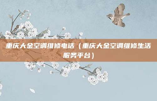 重庆大金空调维修电话(重庆大金空调维修生活服务平台)