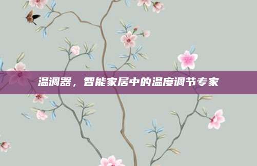 温调器,智能家居中的温度调节专家