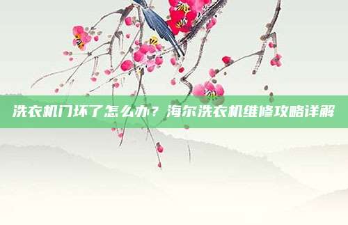 洗衣机门坏了怎么办?海尔洗衣机维修攻略详解