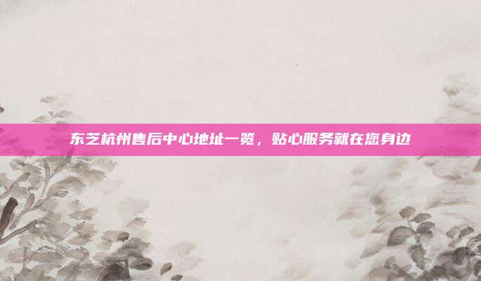 东芝杭州售后中心地址一览,贴心服务就在您身边
