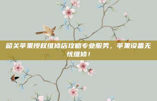 韶关苹果授权维修店攻略专业服务,苹果设备无忧维修!