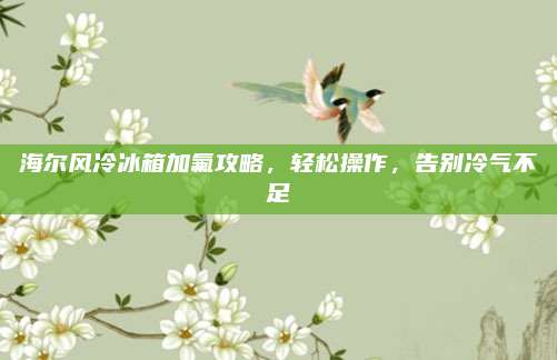 海尔风冷冰箱加氟攻略,轻松操作,告别冷气不足