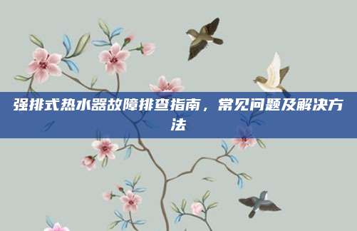 强排式热水器故障排查指南,常见问题及解决方法