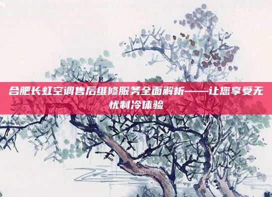合肥长虹空调售后维修服务全面解析——让您享受无忧制冷体验