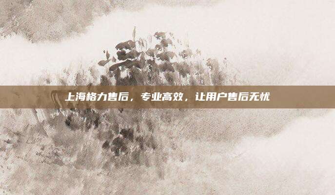 上海格力售后,专业高效,让用户售后无忧