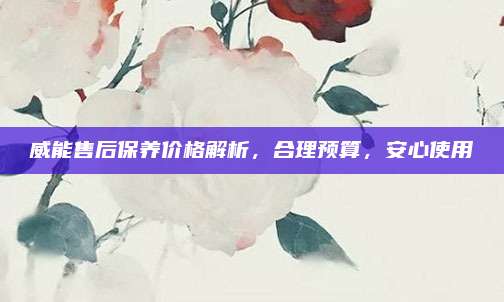 威能售后保养价格解析,合理预算,安心使用