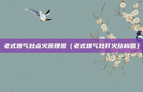 老式燃气灶点火原理图(老式煤气灶打火结构图)