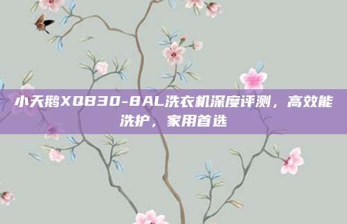 小天鹅XQB30-8AL洗衣机深度评测,高效能洗护,家用首选