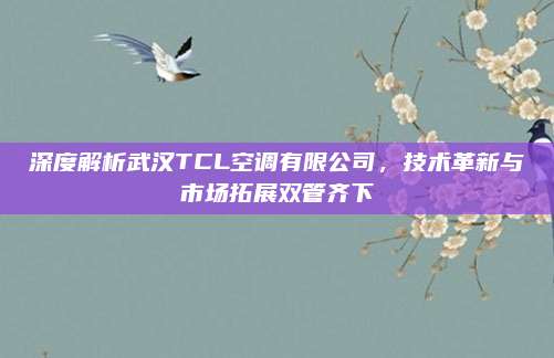深度解析武汉TCL空调有限公司,技术革新与市场拓展双管齐下