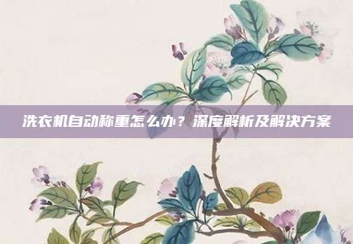洗衣机自动称重怎么办?深度解析及解决方案