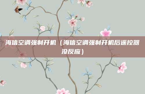 海信空调强制开机(海信空调强制开机后遥控器没反应)