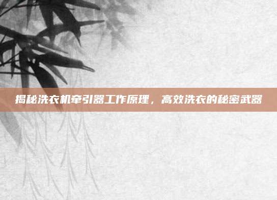 揭秘洗衣机牵引器工作原理，高效洗衣的秘密武器
