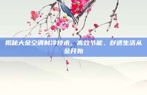 揭秘大金空调制冷技术，高效节能，舒适生活从金开始