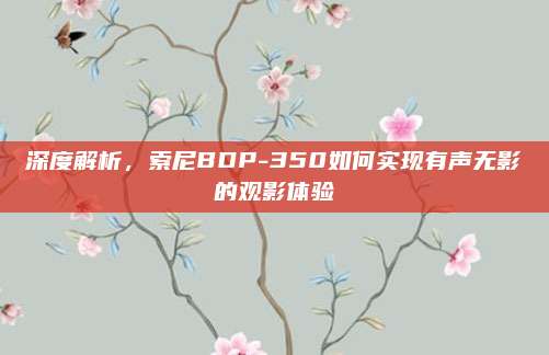 深度解析，索尼BDP-350如何实现有声无影的观影体验