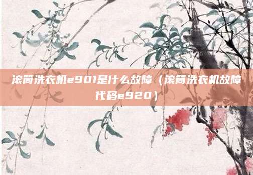 滚筒洗衣机e901是什么故障（滚筒洗衣机故障代码e920）