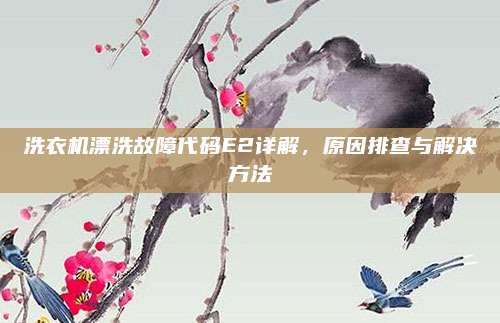 洗衣机漂洗故障代码E2详解,原因排查与解决方法