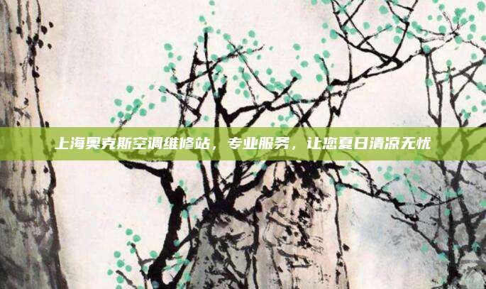 上海奥克斯空调维修站,专业服务,让您夏日清凉无忧
