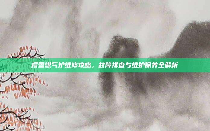 樱雪煤气炉维修攻略,故障排查与维护保养全解析