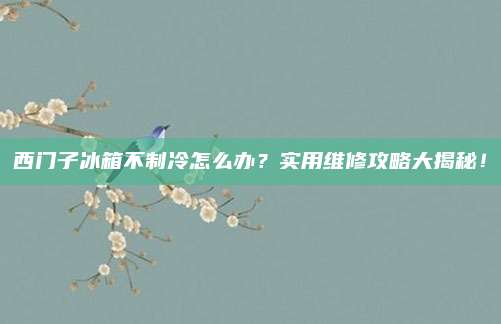 西门子冰箱不制冷怎么办?实用维修攻略大揭秘!